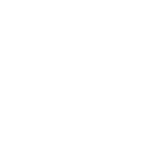 STAR Level 1 White